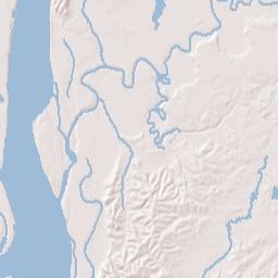 242 Giltedge Gin Road, Burlison, TN 38015 Terrain Map