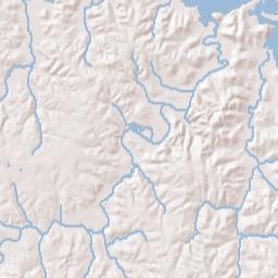 8 East Main Street, Decaturville, TN 38329 Terrain Map