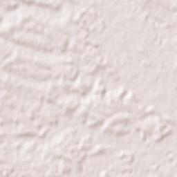 Kawasaki-shi Terrain Map