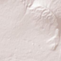 Pakdasht Terrain Map