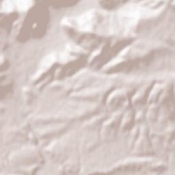 Aïn El Berd District Terrain Map
