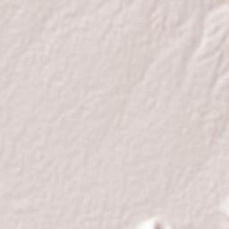 Shavand Terrain Map