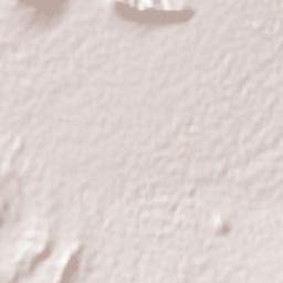 Javar Sajin Terrain Map