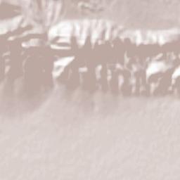 Aradan Terrain Map