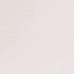 Berry Arizona Terrain Map