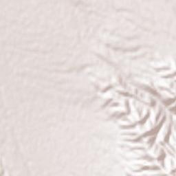 Ḩalabjah Terrain Map