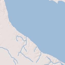 Neuse Forest Terrain Map