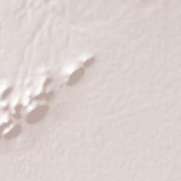 Tiztoutine Terrain Map