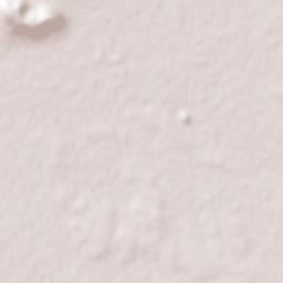 As Salamīyah Terrain Map