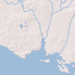 Proctor Alabama Terrain Map