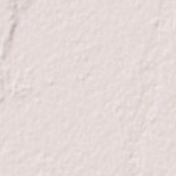 Hamamatsu Terrain Map