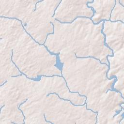 Williamston Terrain Map