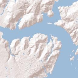 Manchester Alabama Terrain Map