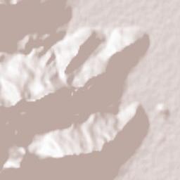 Bisotun Terrain Map
