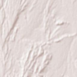 Kahak Terrain Map