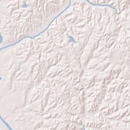 207 Leon Davis Dr Fulton MS 38843 Terrain Map