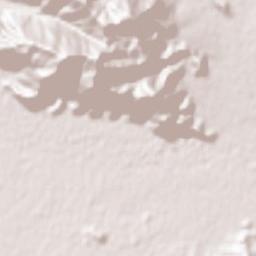 Bāsawul Terrain Map