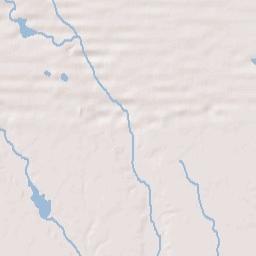 U.S. 15, Bishopville, SC 29010, USA Terrain Map