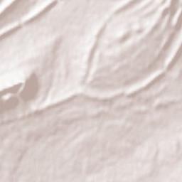 Aflou Terrain Map