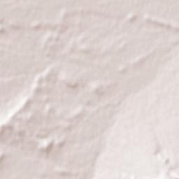 Qārah Terrain Map