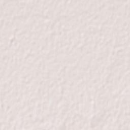 Ashanagro Koto Terrain Map