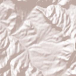 Delfan Terrain Map
