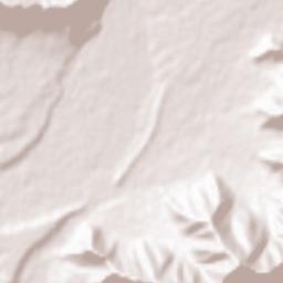 Tral Terrain Map