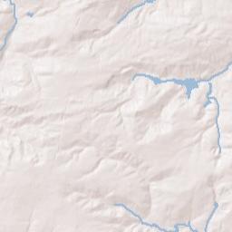 201-209 Wayne Street, Gaston, SC 29053 Terrain Map