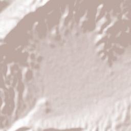 Şaydnāyā Terrain Map