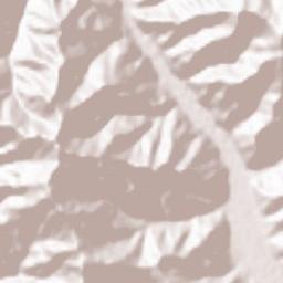 Punch Terrain Map