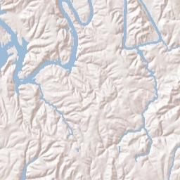 Maxine Alabama Terrain Map