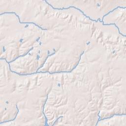 Forest Alabama Terrain Map