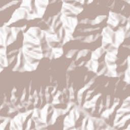 Tsuno Terrain Map