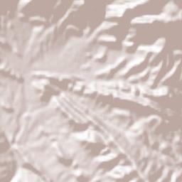 Delgosha Terrain Map