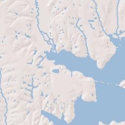 1223 East College Avenue, Princeton, TX Terrain Map