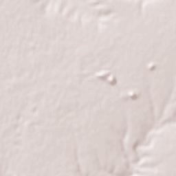 Khouribga Terrain Map