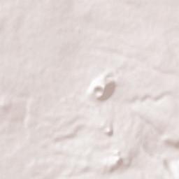 Şalākhid Terrain Map