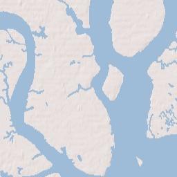 Charleston, South Carolina Terrain Map