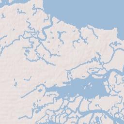 Charleston County Terrain Map