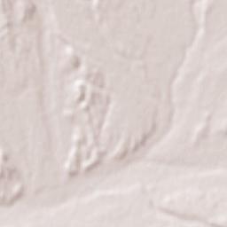 Tarinkot Terrain Map