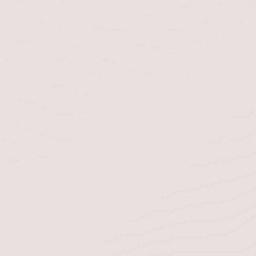 Ejido Sinaloa Terrain Map