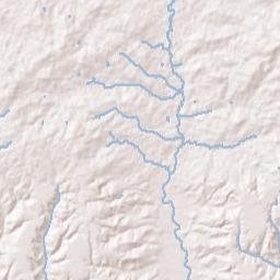 Hidden Forest Alabama Terrain Map