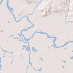 New Bingham Alabama Terrain Map