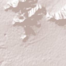 Zarinshahr Terrain Map