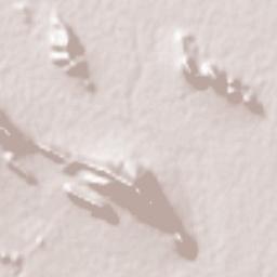 Pir Bakran Terrain Map