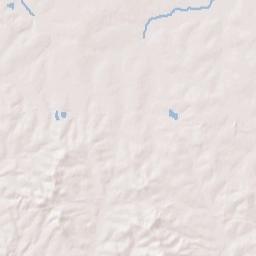 Forest Terrain Map