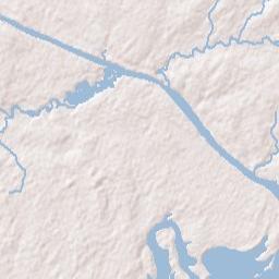 Bon Acre Landing Alabama Terrain Map