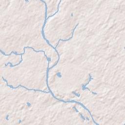 105 North Lumpkin, Hawkinsville, GA 31036 Terrain Map