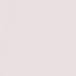 Colonia Venustiano Carranza Terrain Map