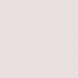 Ejido Plan de Ayala Terrain Map